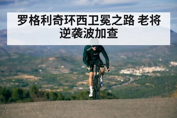 罗格利奇环西卫冕之路 老将逆袭波加查