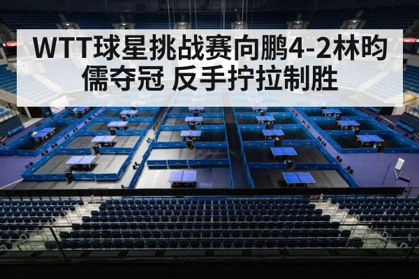 WTT球星挑战赛向鹏4-2林昀儒夺冠 反手拧拉制胜